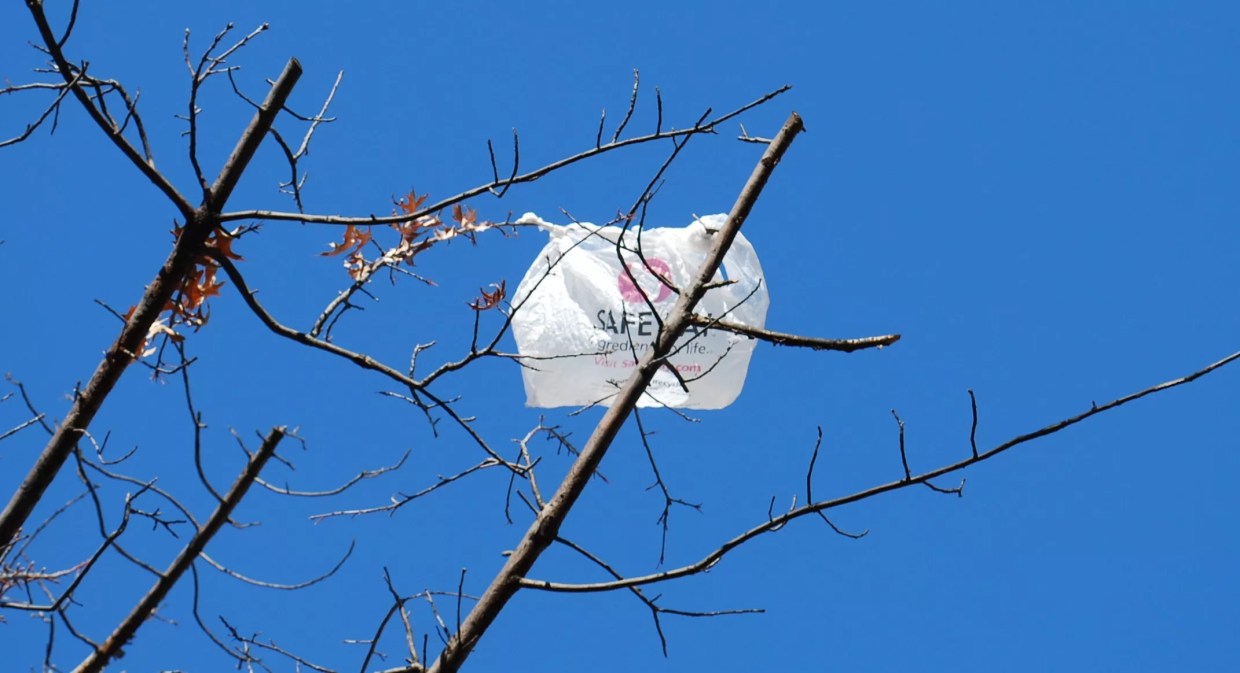 Denver City Council Mulling Plastic Bag Ban