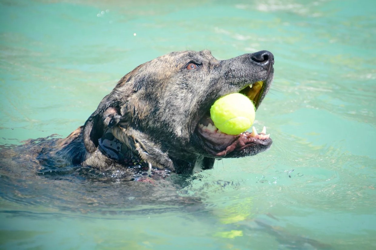 The 21 Best Events in Denver, September 2 Through September 8