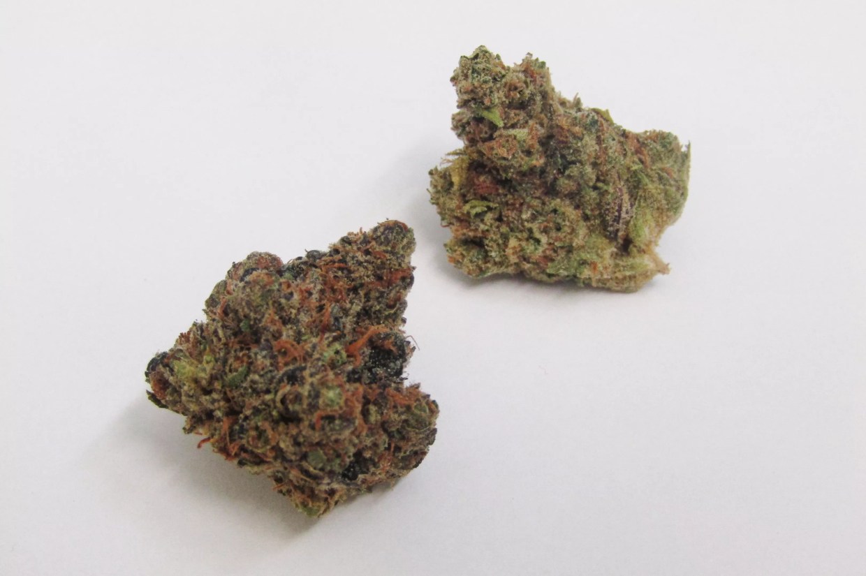 Why Colorado Tokers Love Garlic Breath