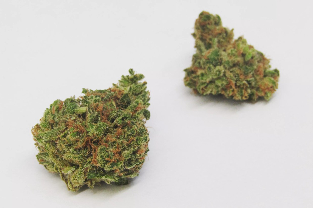 Why Colorado Tokers Love Gushers