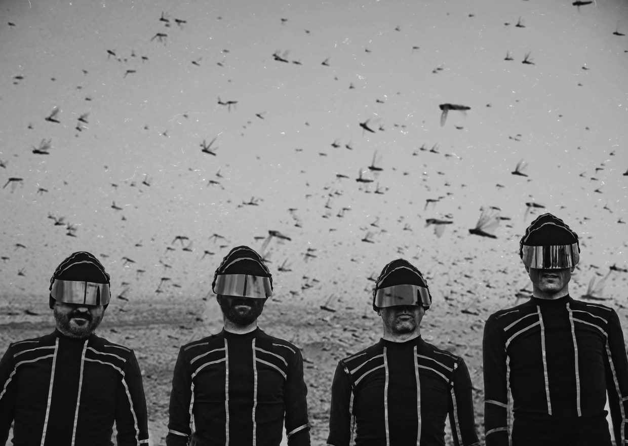 The Locust Embraces Absurdity