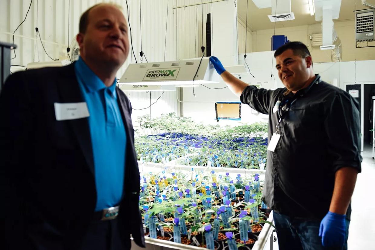 Tony Karas Reminds Us Just How Fun Legal Pot Is