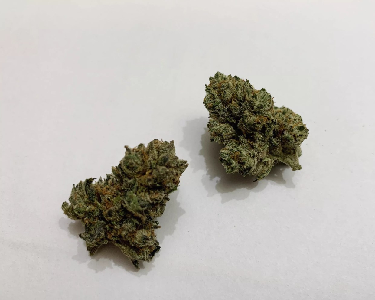 Why Colorado Tokers Love Four Kings