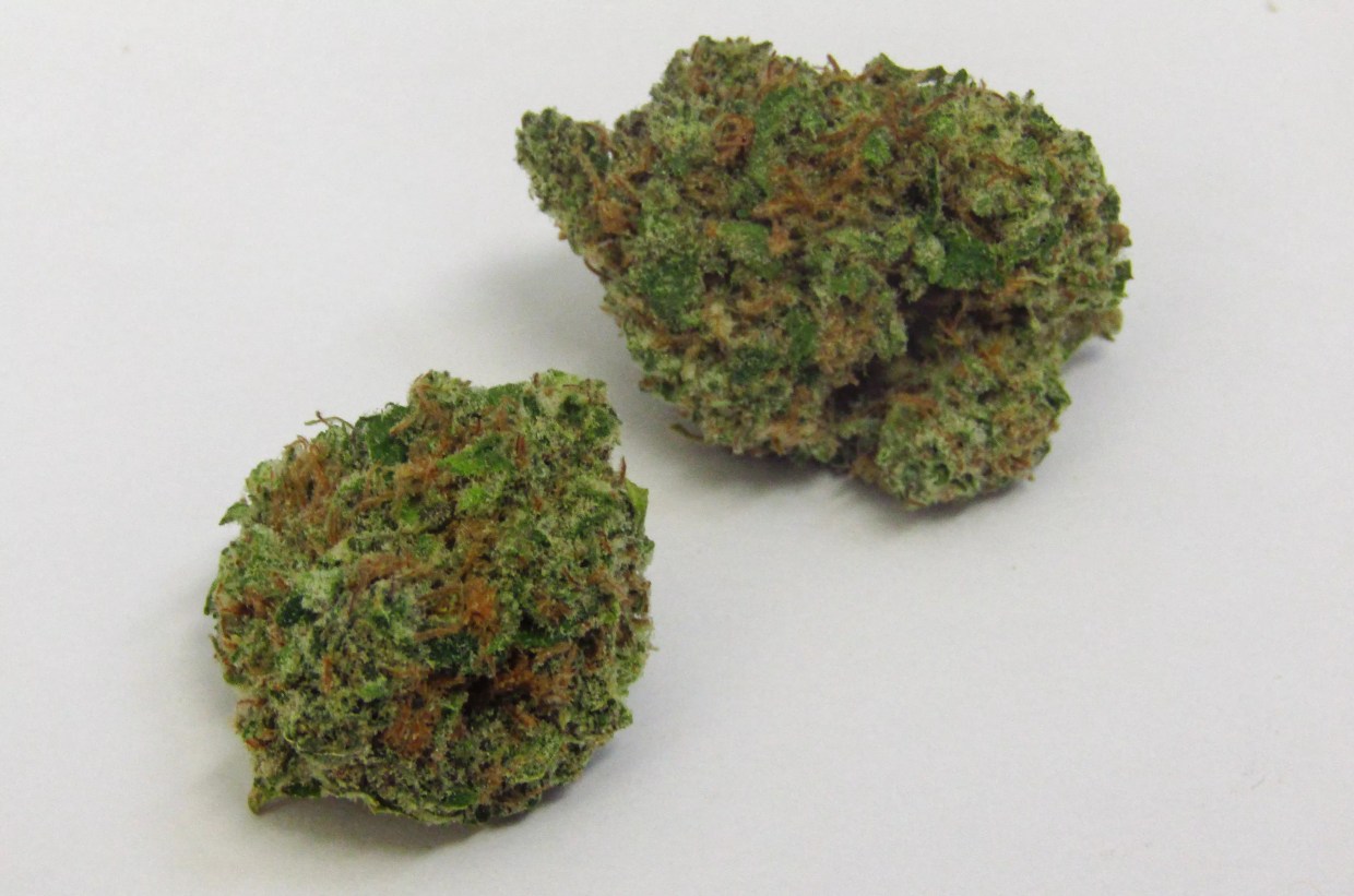 Why Colorado Tokers Love Hemlock