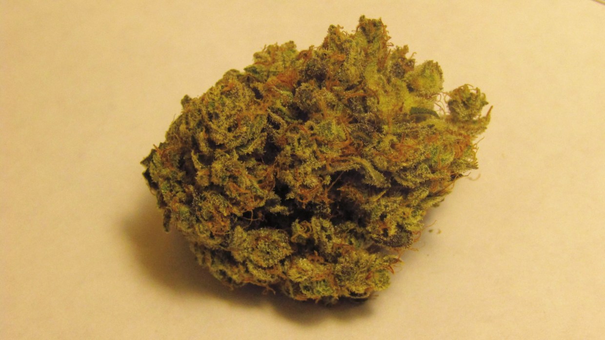 Why Colorado Tokers Love Citradelic Sunset