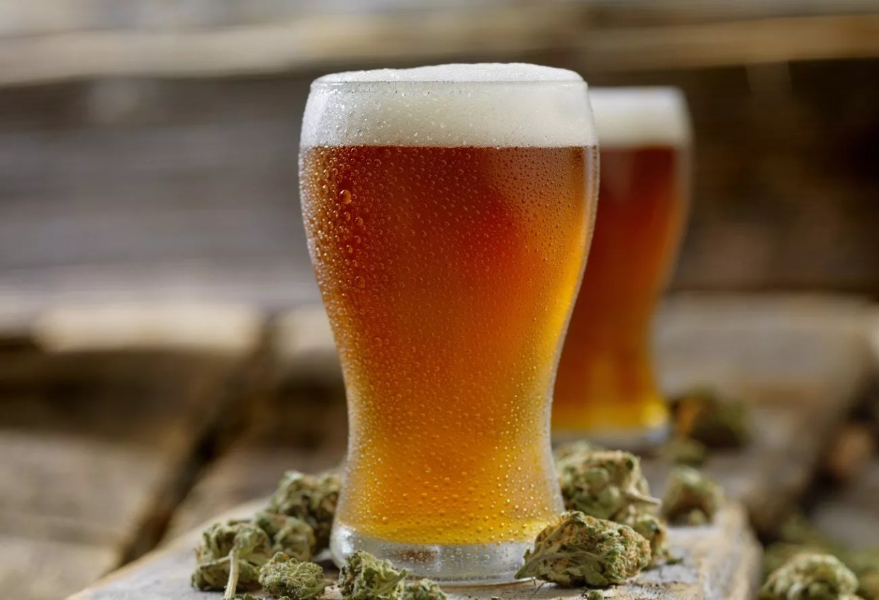 Brewery, Marijuana Grower Recycle CO2 to Save Trees, Grow Weed