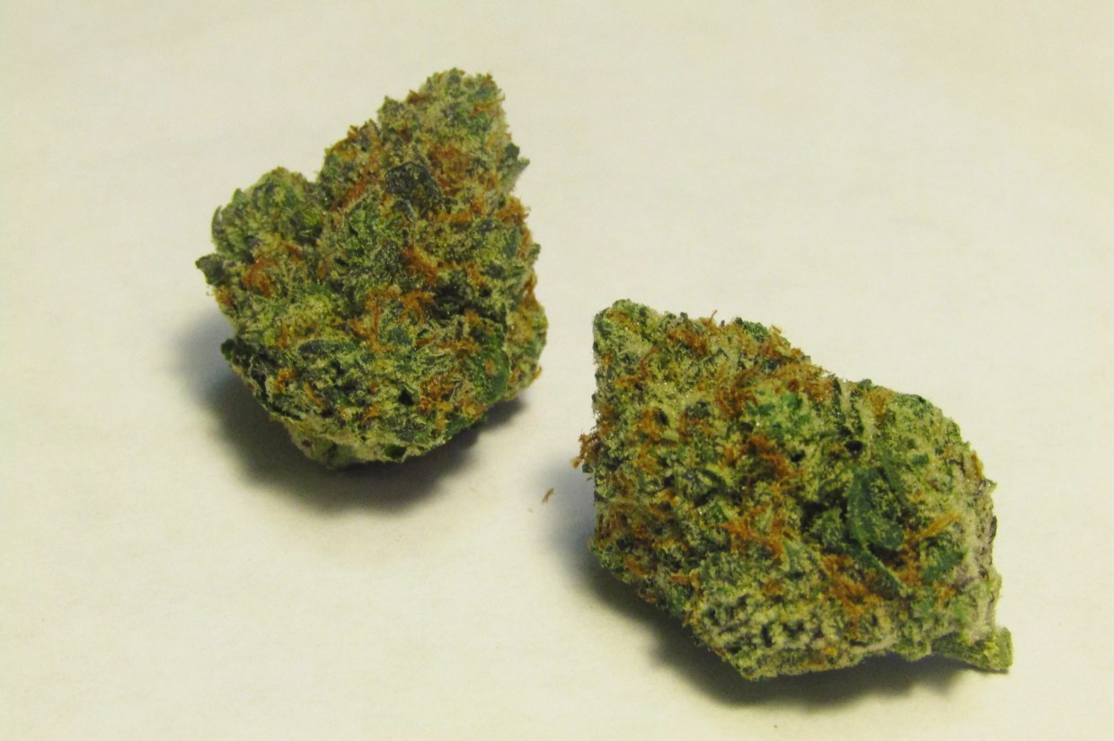 Why Colorado Tokers Love Citral Flo