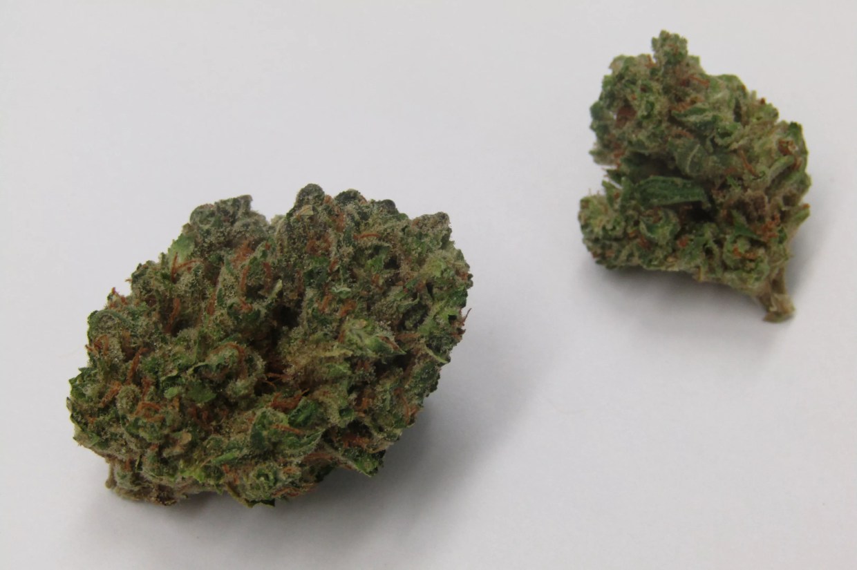 Why Colorado Tokers Love Durban Kush