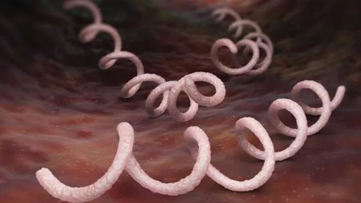 Taking on Colorado’s Shocking Rise in Sexually Transmitted Diseases