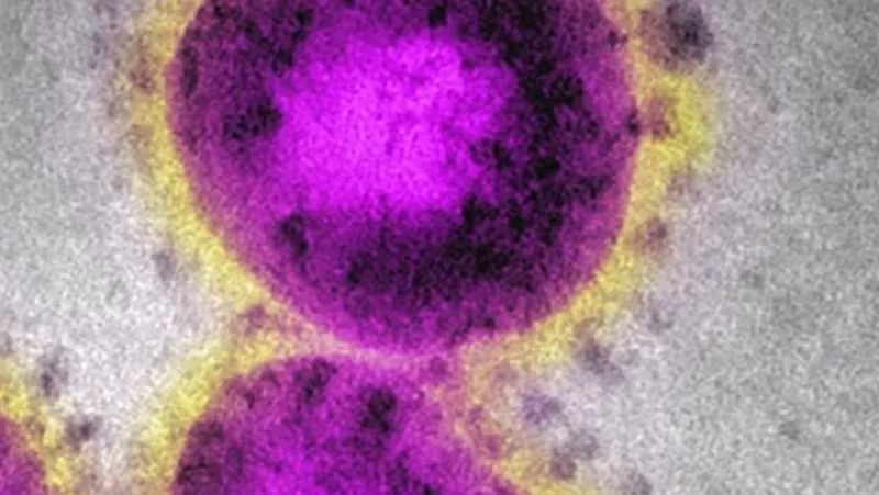 Colorado Announces State’s First COVID-19 Death