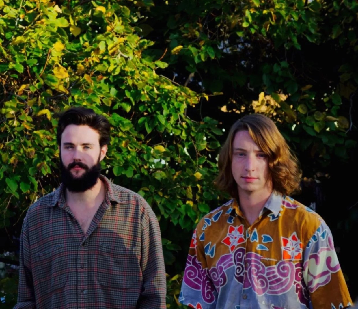 Hear This: Forest Porridge Keeps It Light