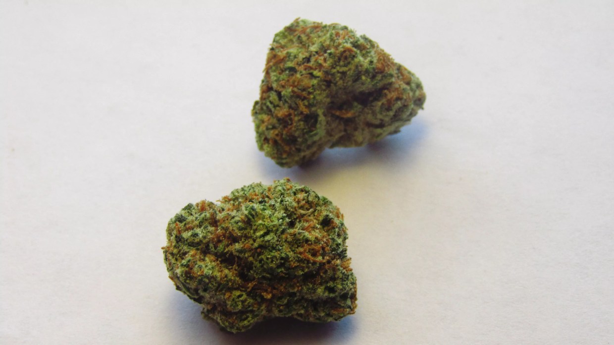 Why Colorado Tokers Love Chiesel