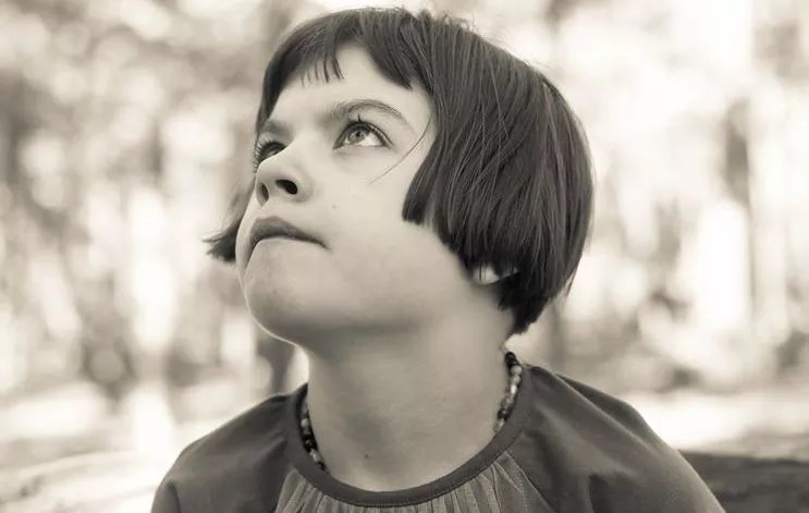 Avett Brothers Headline Charlotte Figi Memorial Show