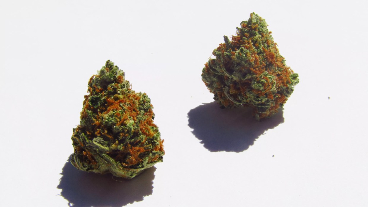 Why Colorado Tokers Love Strawberry Shortcake