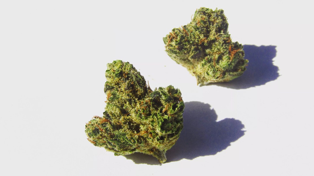 Why Colorado Tokers Love ARC