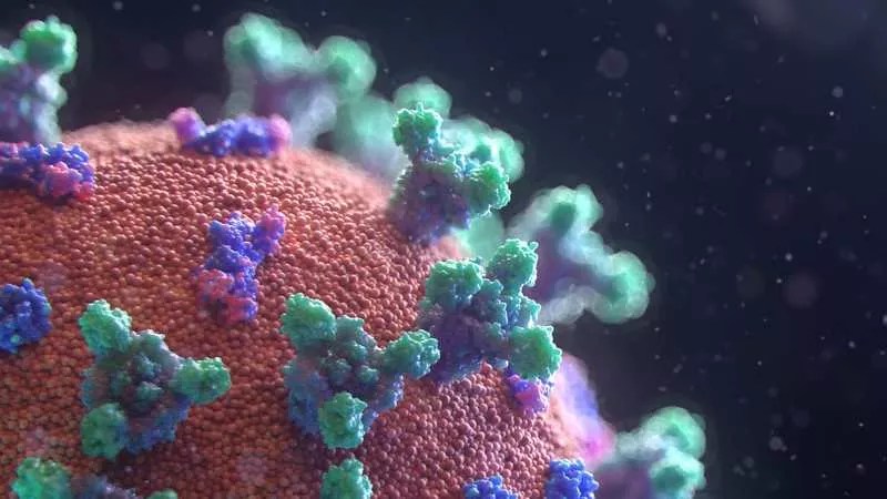 COVID-19: MSNBC Rips Polis Over Colorado’s Early Opening