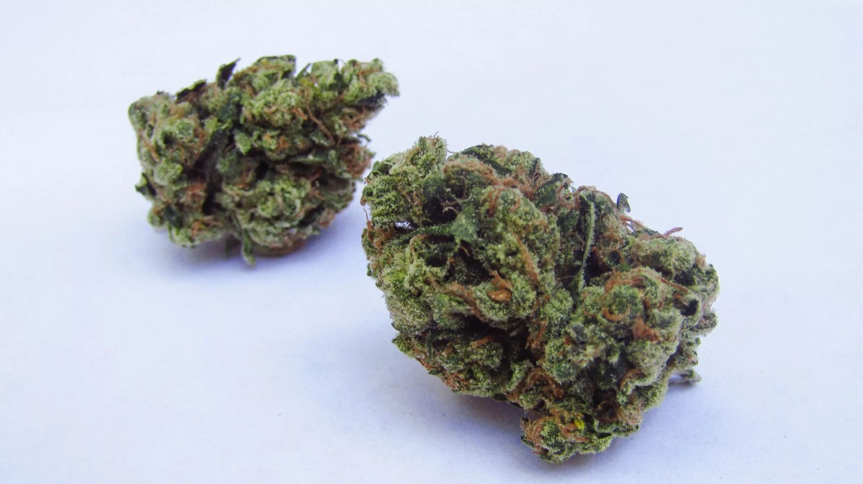 Ten Strains for Staying Active or Cooling Down During Summer