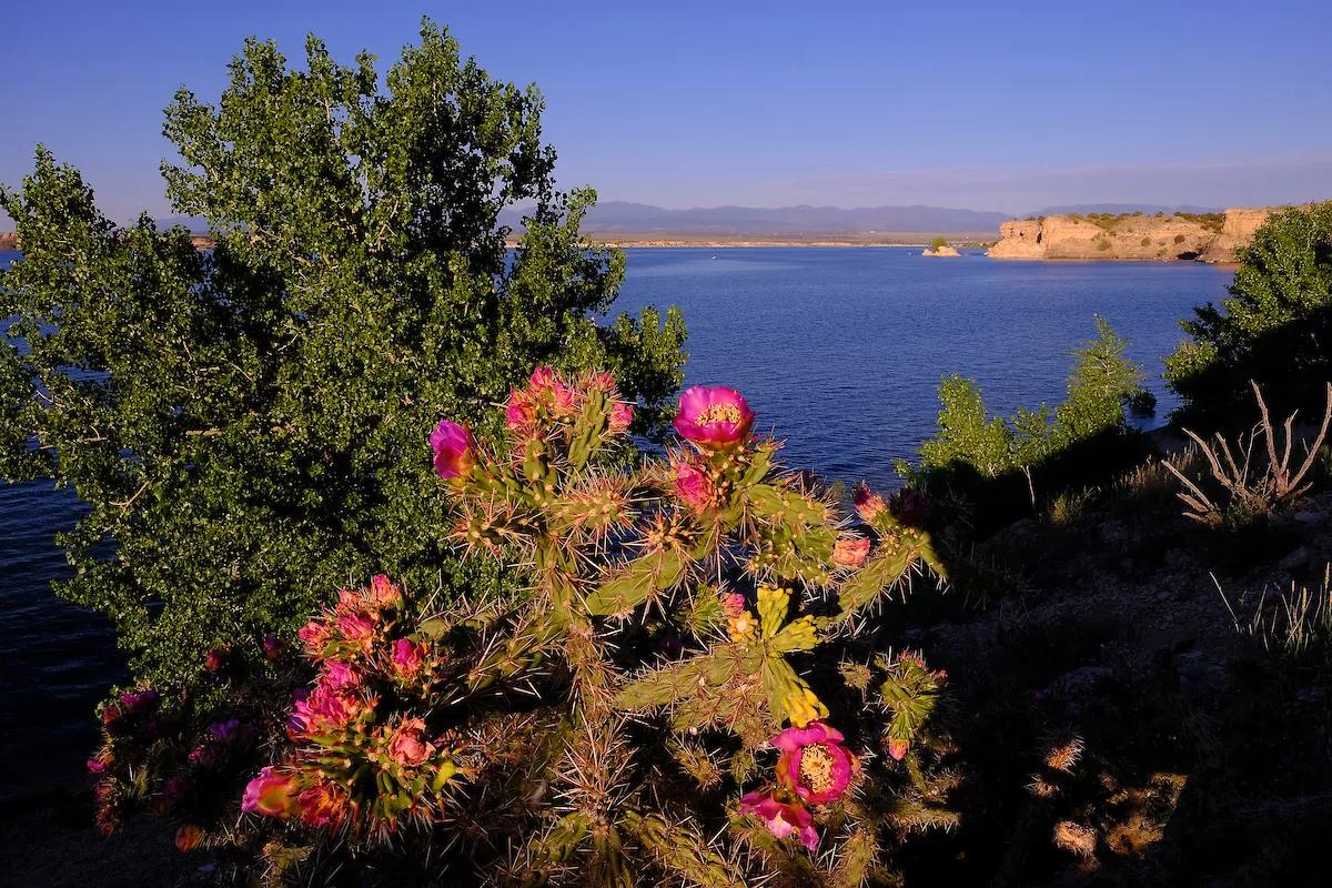 Beach, Beach, Beach: State Park Swimming Areas Closed This Weekend