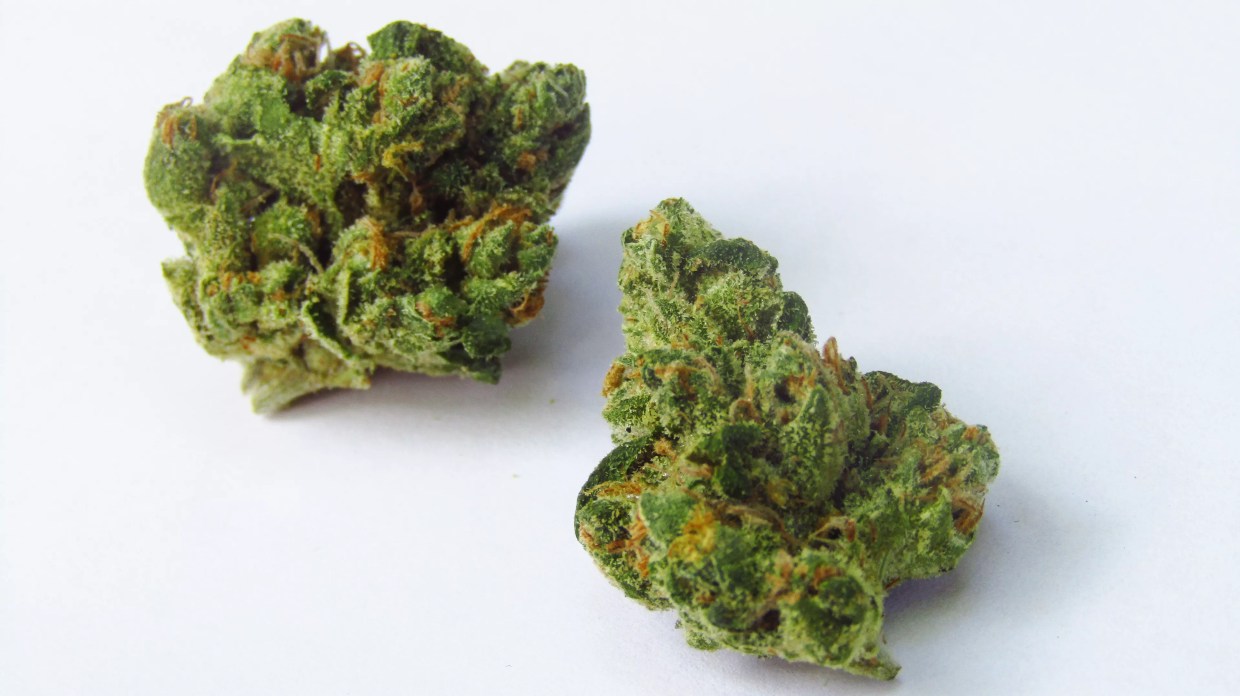 Why Colorado Tokers Love Tenth Mountain Diesel