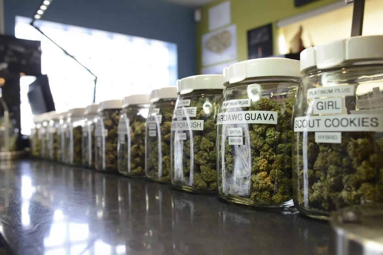 Colorado Receives a C+ in Medical Marijuana Access