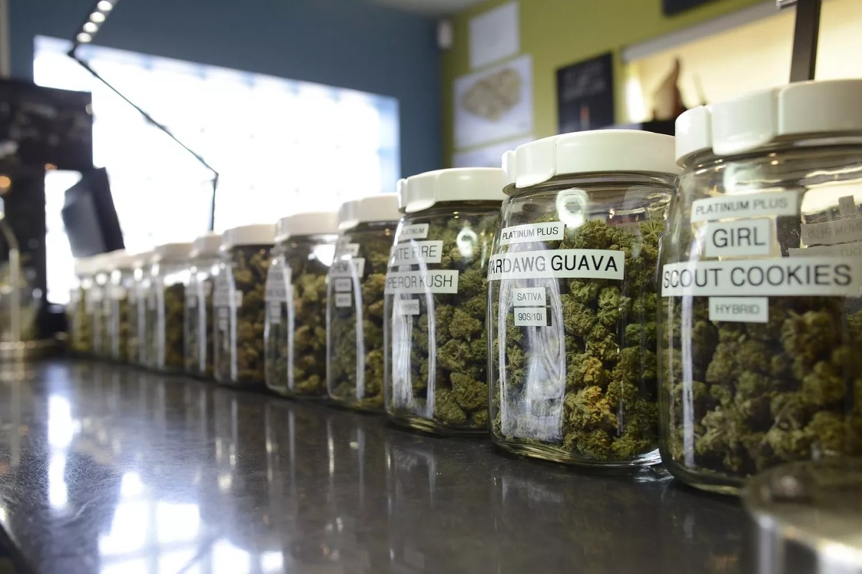 Colorado Receives a C+ in Medical Marijuana Access