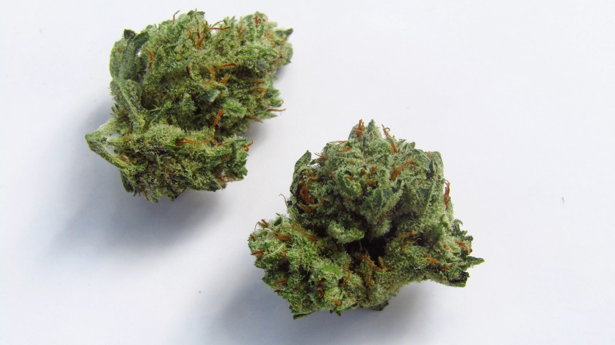Why Colorado Tokers Love Platinum Bubba Kush