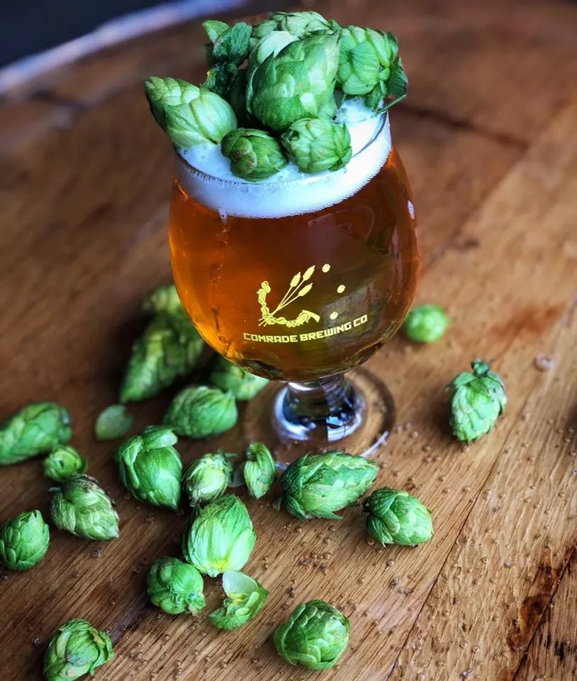 Beer Calendar: Fall Brews at Bierstadt, the Post and Jagged Mountain