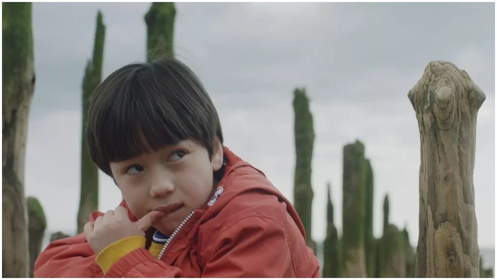 Denver Film Festival Must-See Pick for November 2: <i>The Reason I Jump</i>