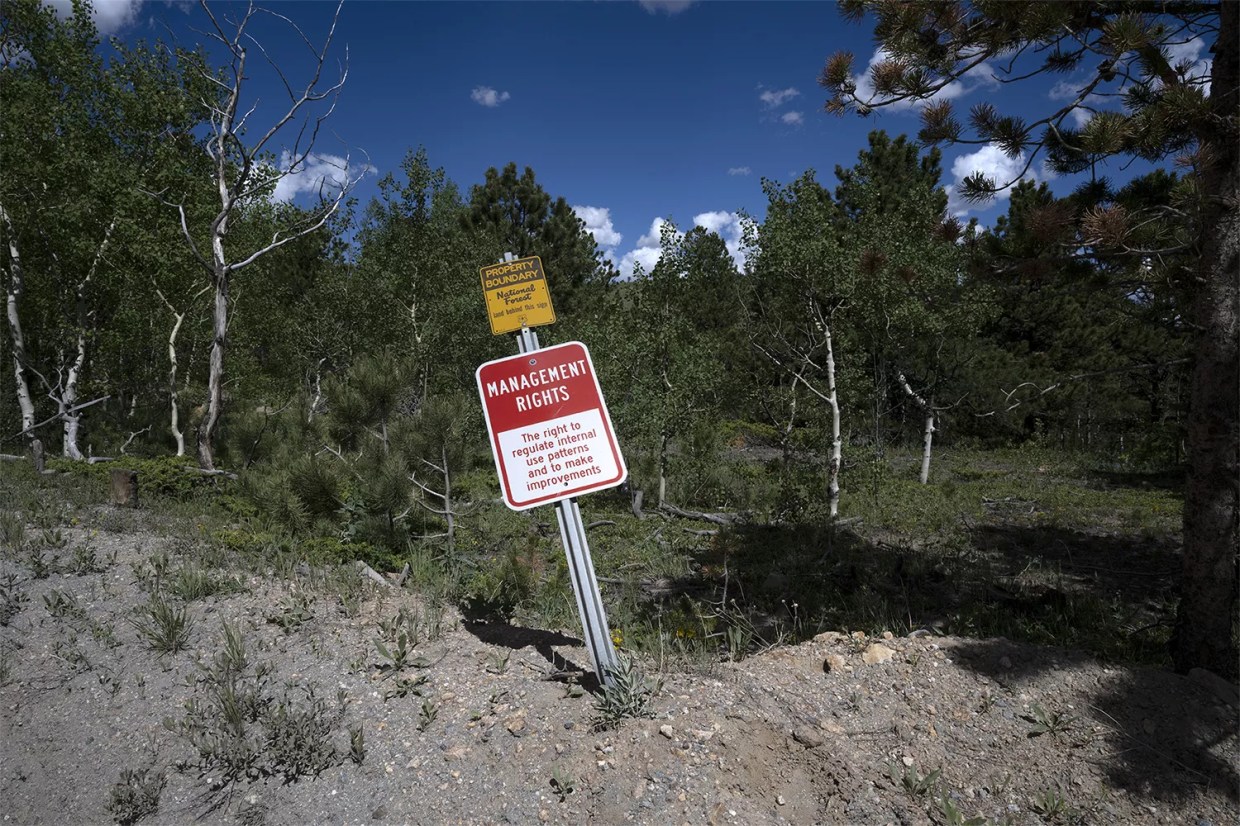 Colorado Creatives: Yumi Janairo Roth