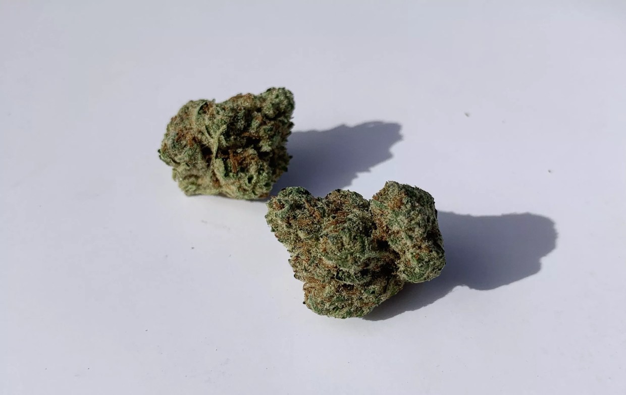 Why Colorado Tokers Love Motorbreath