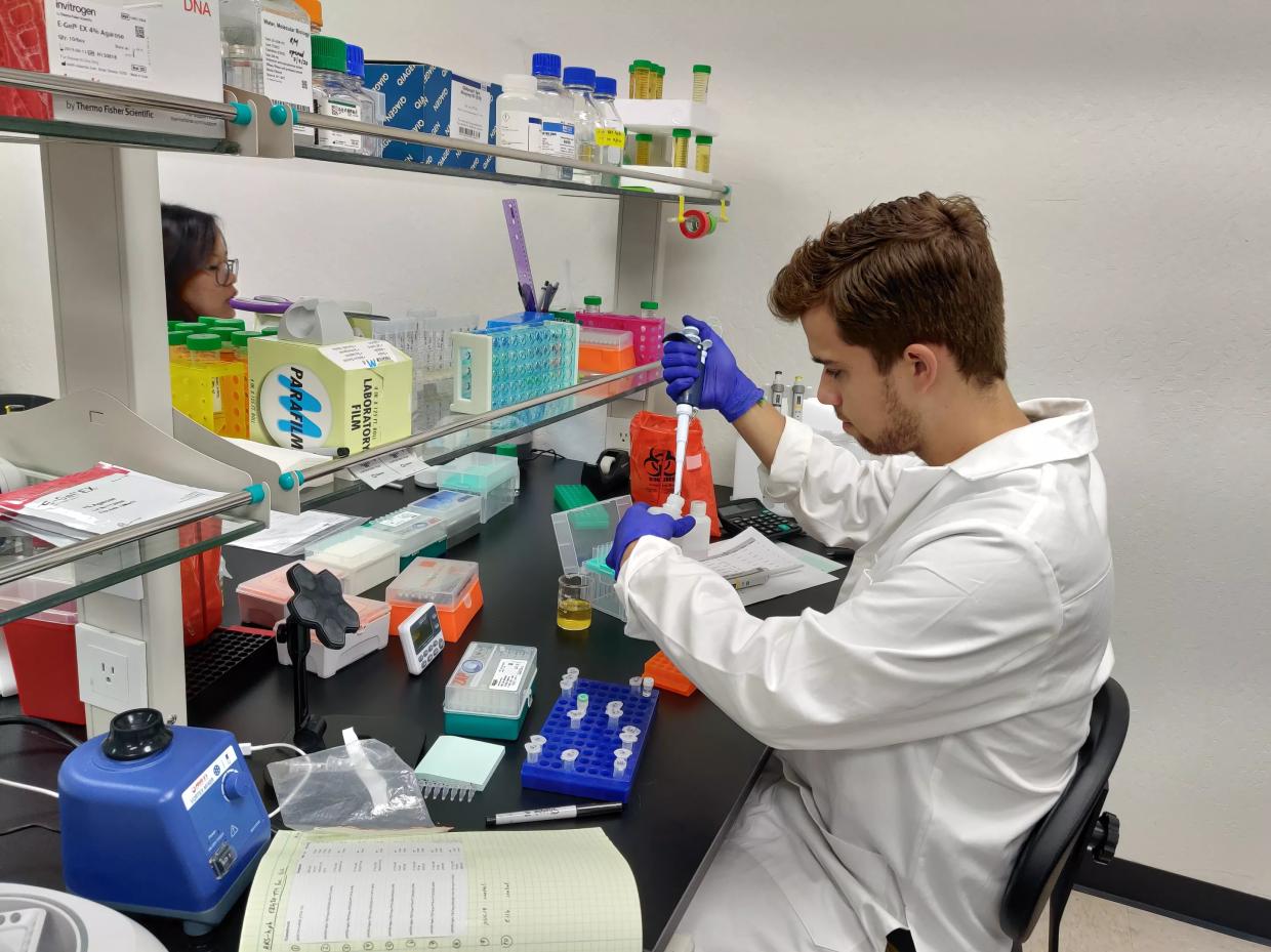 CBYeast: Biotech Companies Are Pulling Cannabinoids From Yeast
