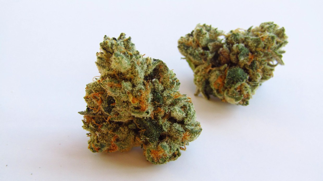 Why Colorado Tokers Love Sour Berry Blue