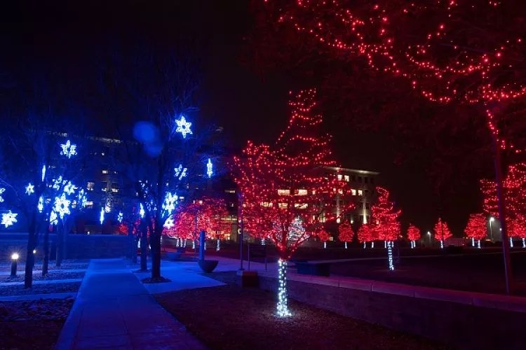 Eight Things to Do for Free In and Around Denver This Week