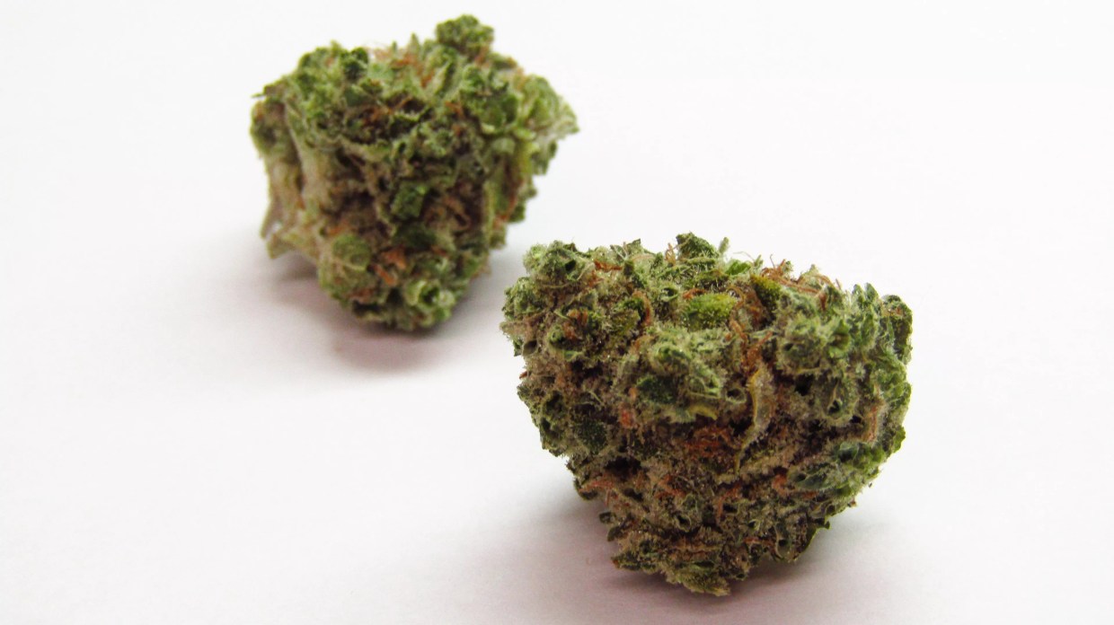 Why Colorado Tokers Love Ace High