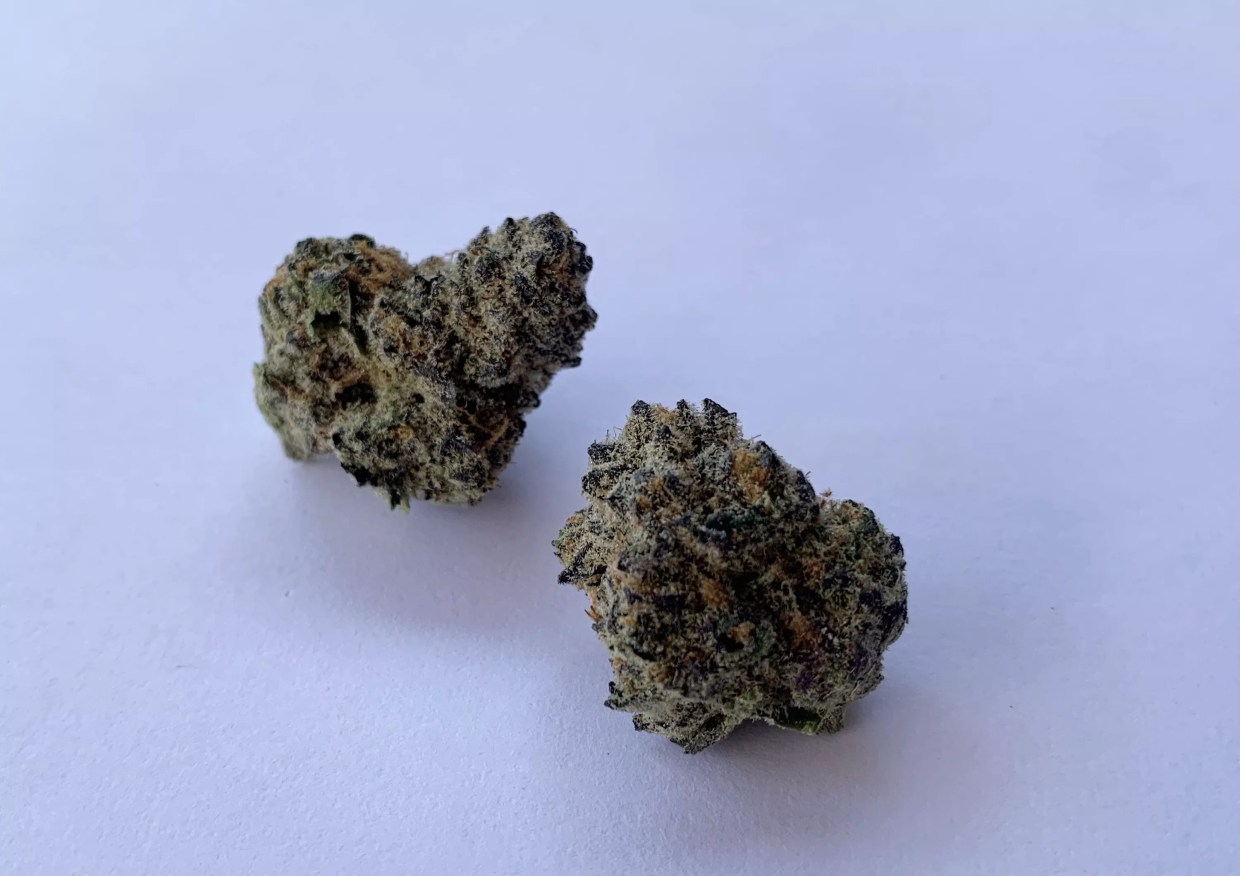 Why Colorado Tokers Love Lucid Dream