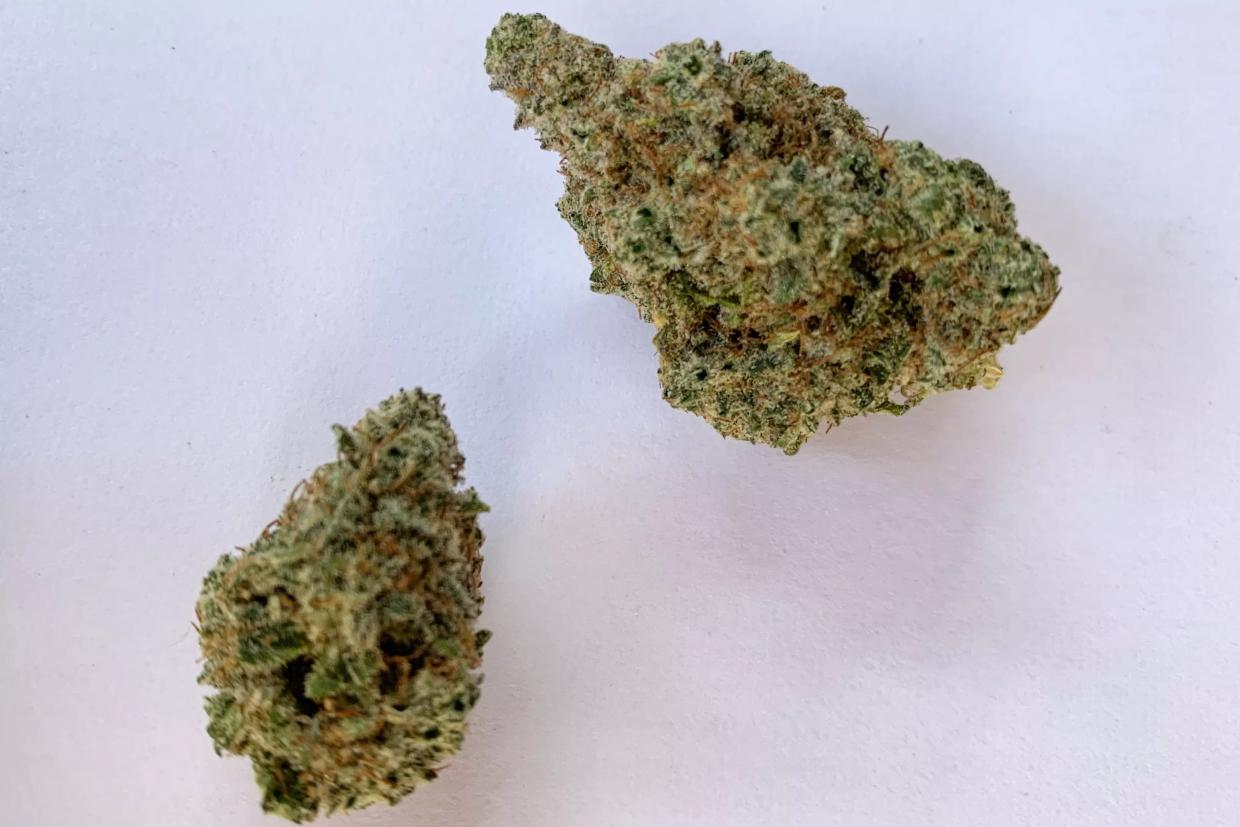 Why Colorado Tokers Love 9D4
