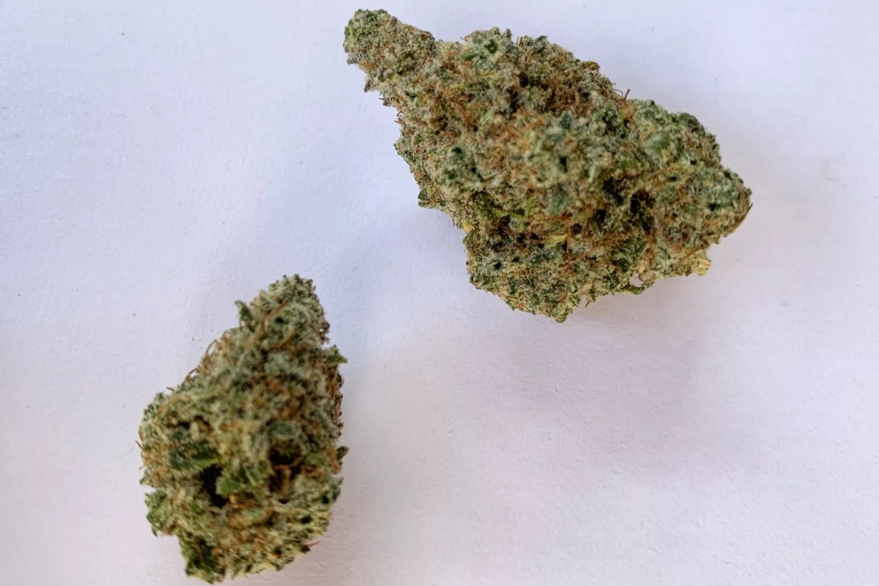 Why Colorado Tokers Love 9D4