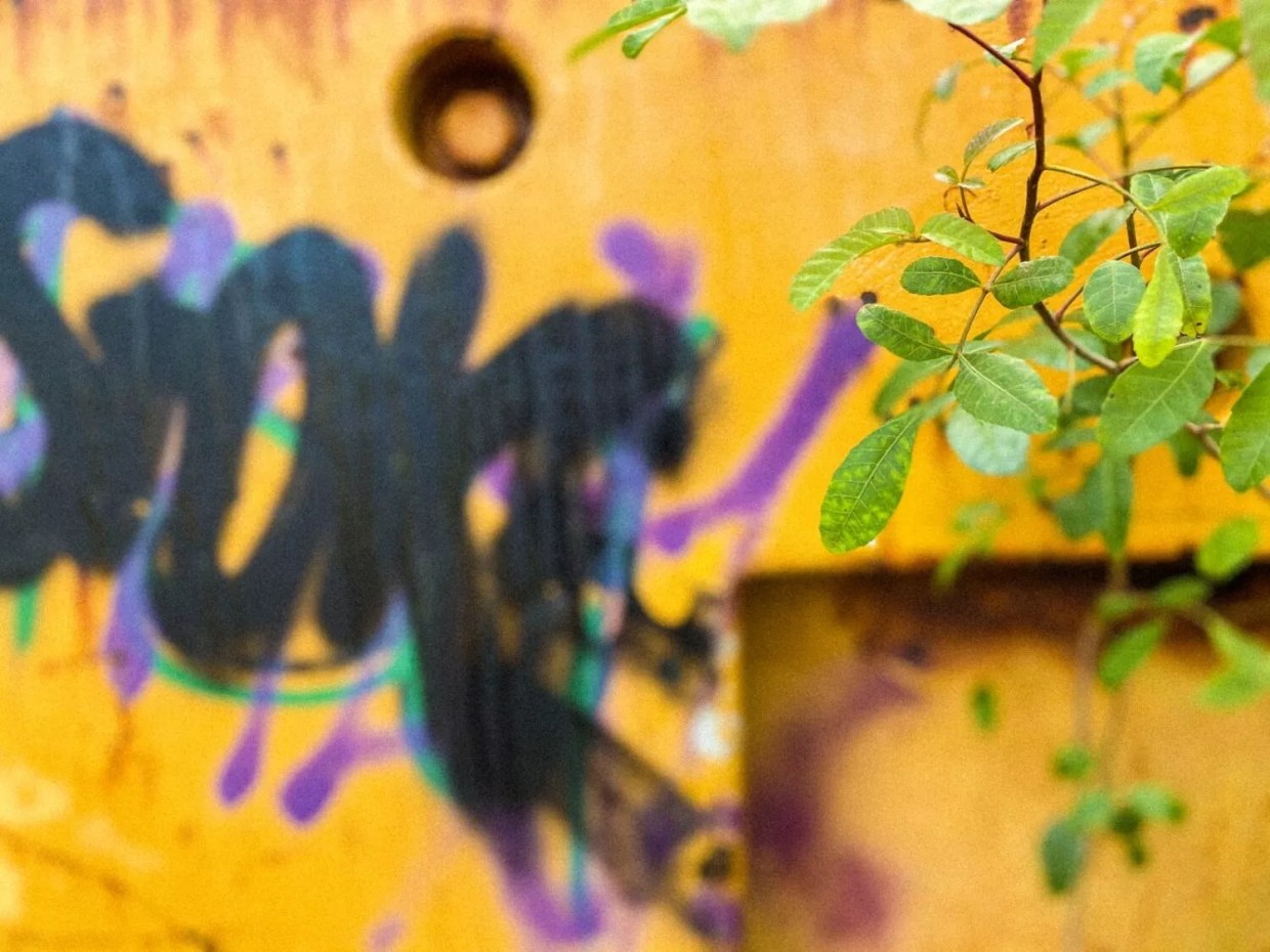 Art Attack: Eight New Art Shows and Events in Denver