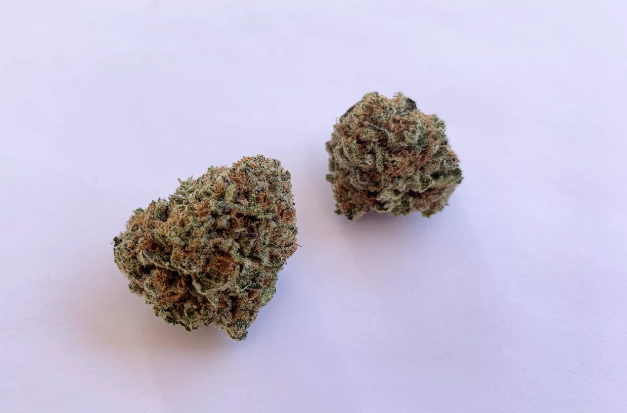 Why Colorado Tokers Love T-1000