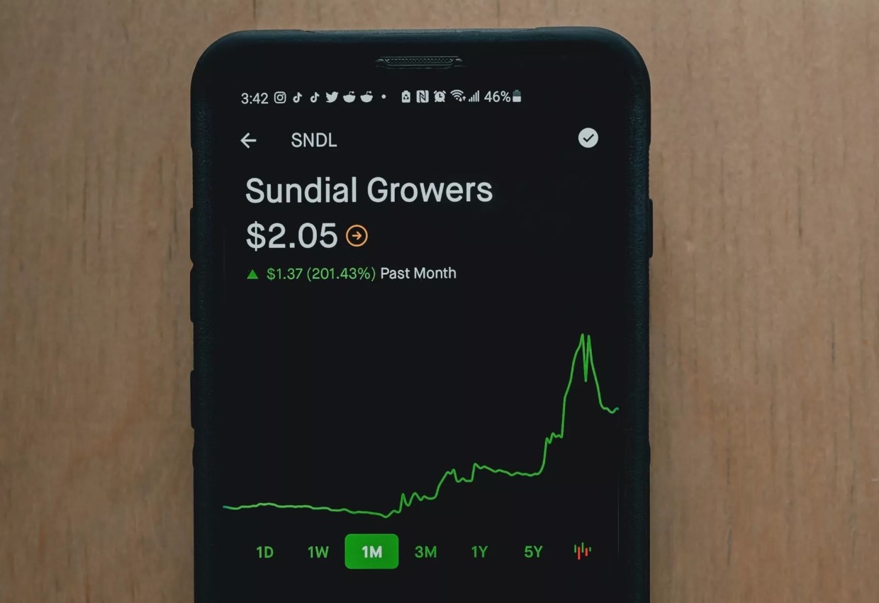 Are Cannabis Stocks the Real Deal, Another GameStop or Something Else?