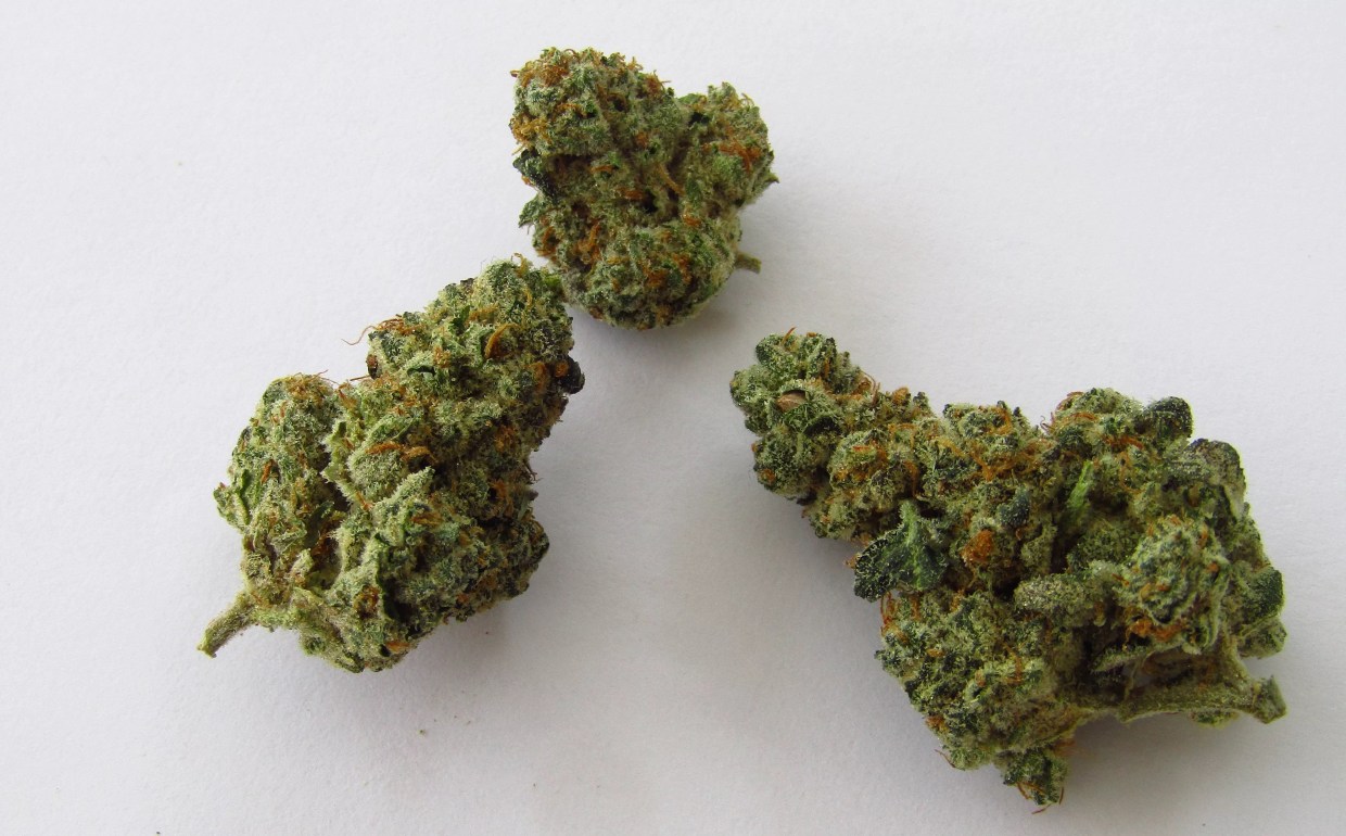 Why Colorado Tokers Love Fuel Biscuit