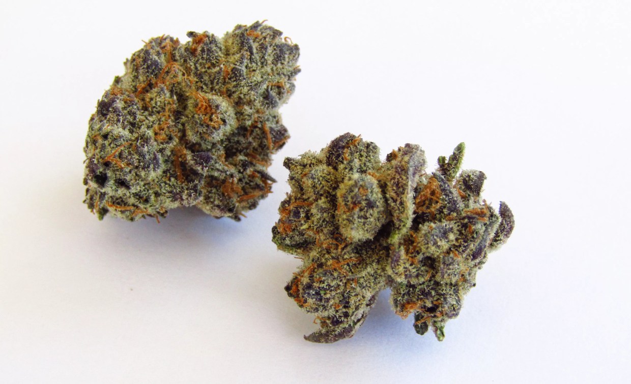 Why Colorado Tokers Love Purple Sunset