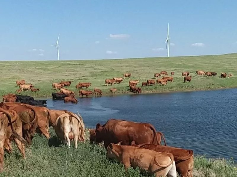 Ten Things to Do In and Around Denver (and Online) This Weekend