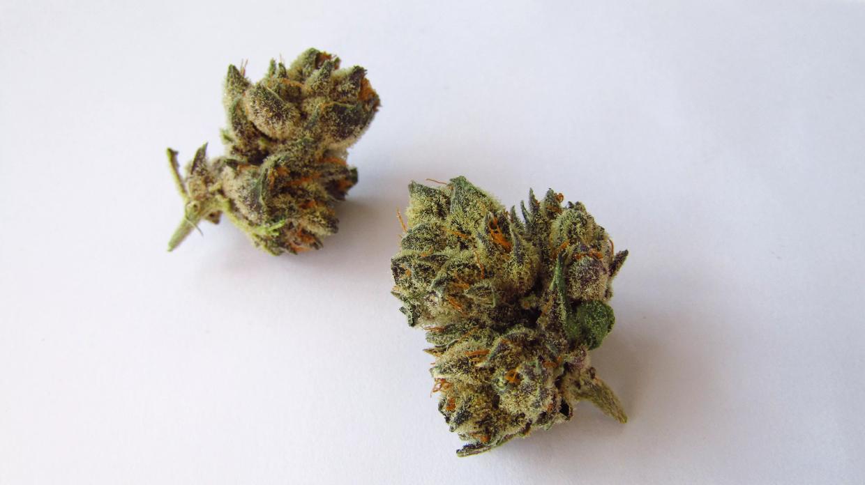 Why Colorado Tokers Love Runtz