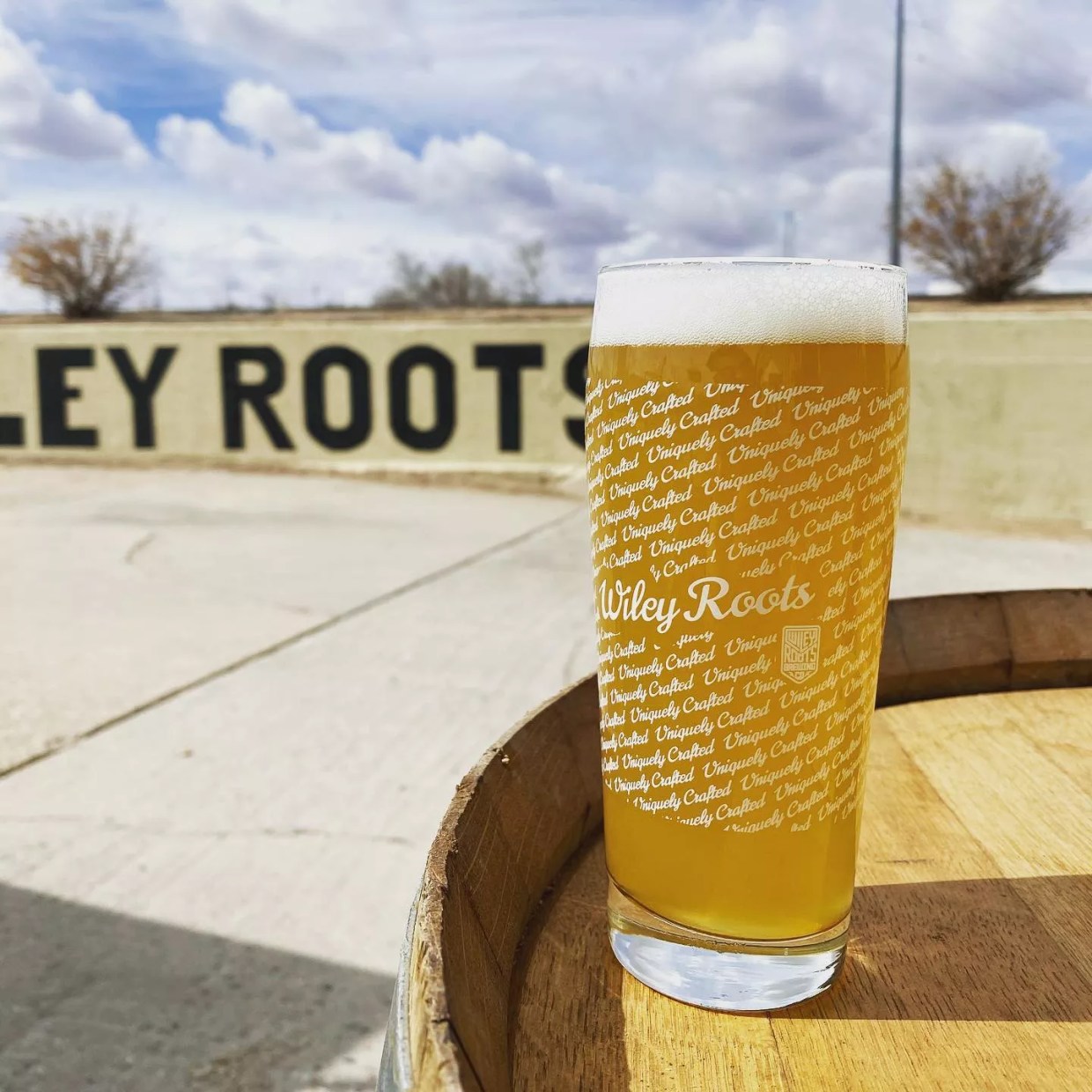 Wiley Roots Brewing Co-Owner Apologizes for Working Environment