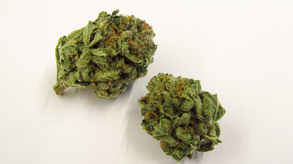 Why Colorado Tokers Love Meat Breath