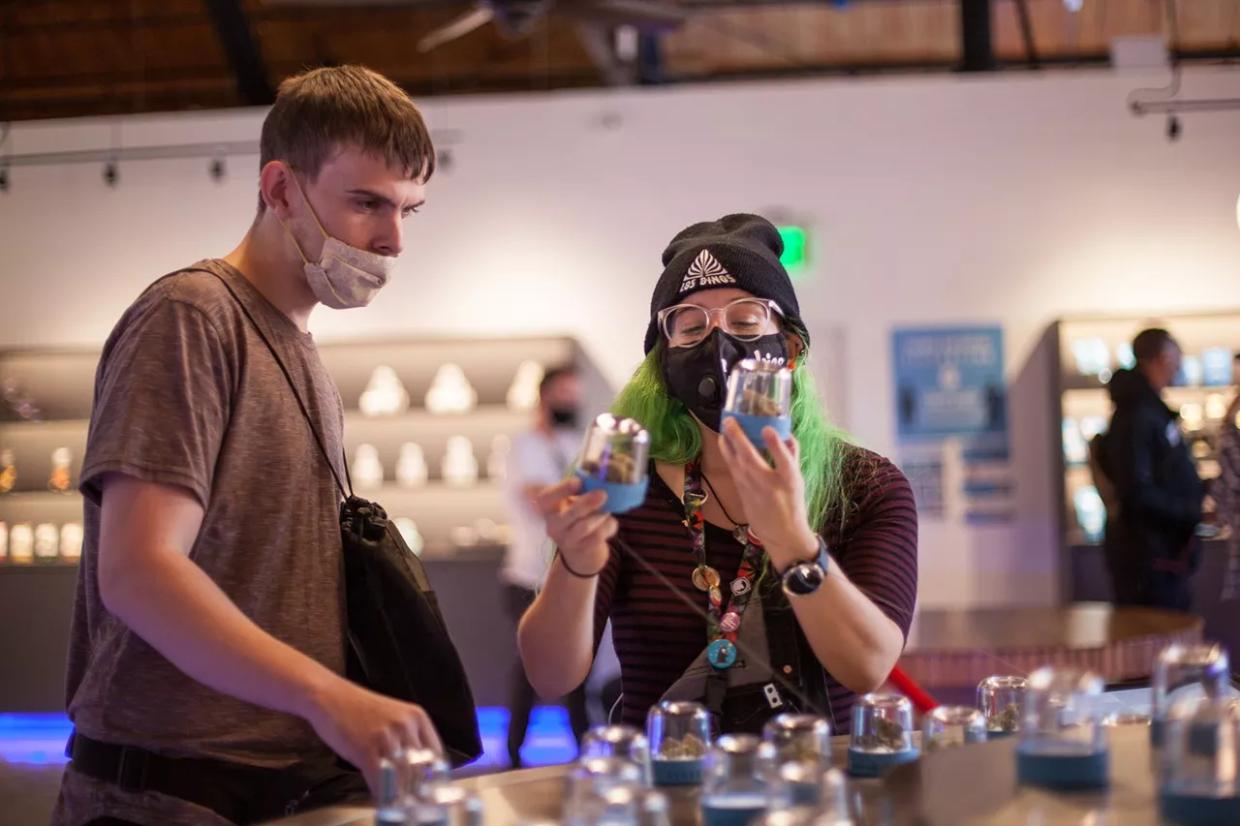 Scammers Continue Harassing Marijuana Businesses