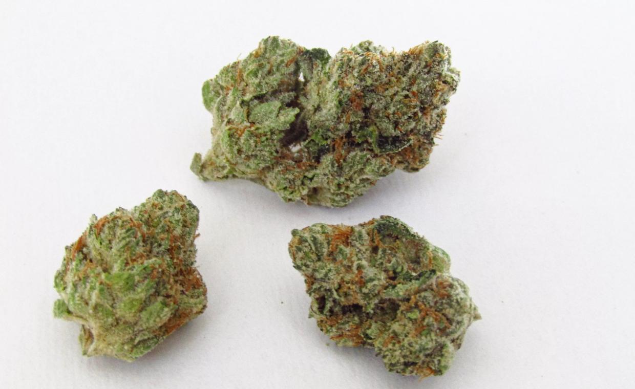 Why Colorado Tokers Love GMO Zkittlez