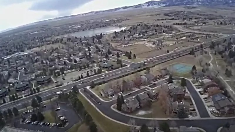 Metro Denver’s Last Pit Bull Ban Is Bizarre and Brutal