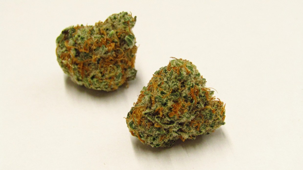 Why Colorado Tokers Love Peach Crescendo